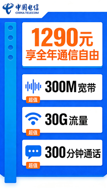 中国电信1290元全年通信自由套餐